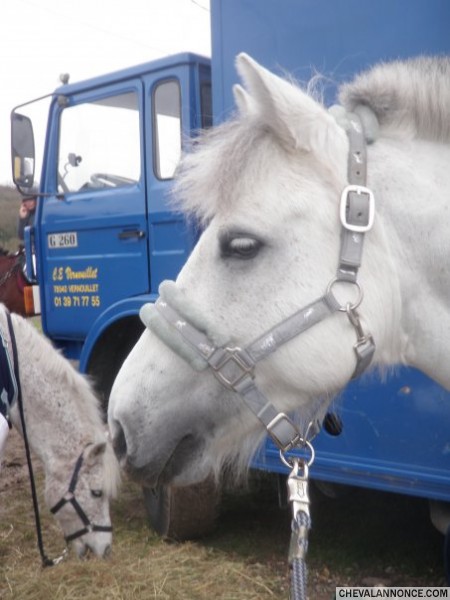 Photo de profil de maliiceeuh