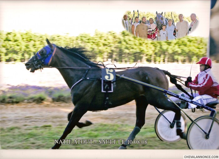 Photo de profil de natifatout