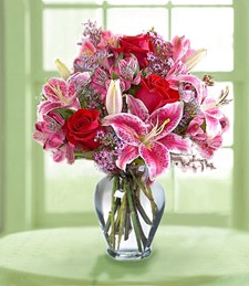 Photo de profil de grace02