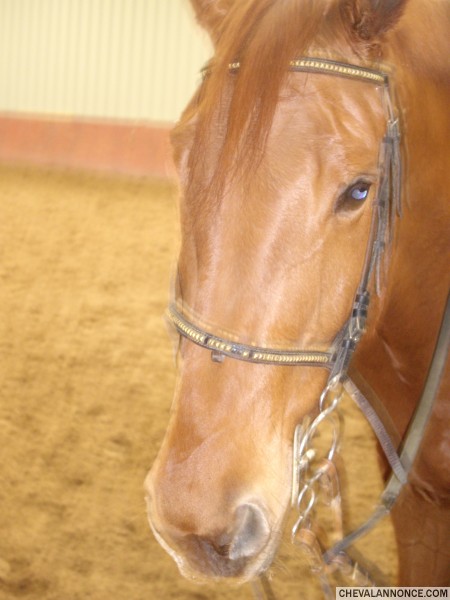 Photo de profil de naunau