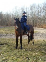 Photo de profil de guito