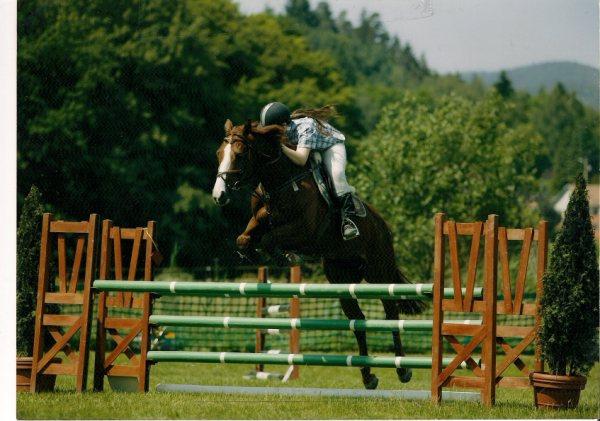 Photo de profil de gullivert