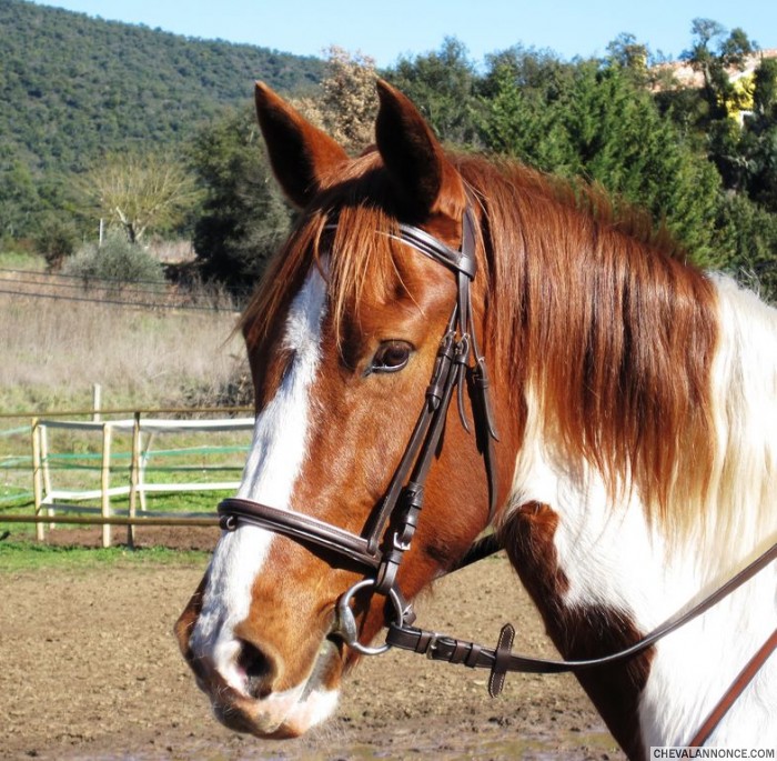 Photo de profil de bilma