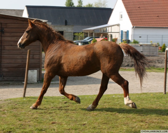 Photo de profil de looberghe