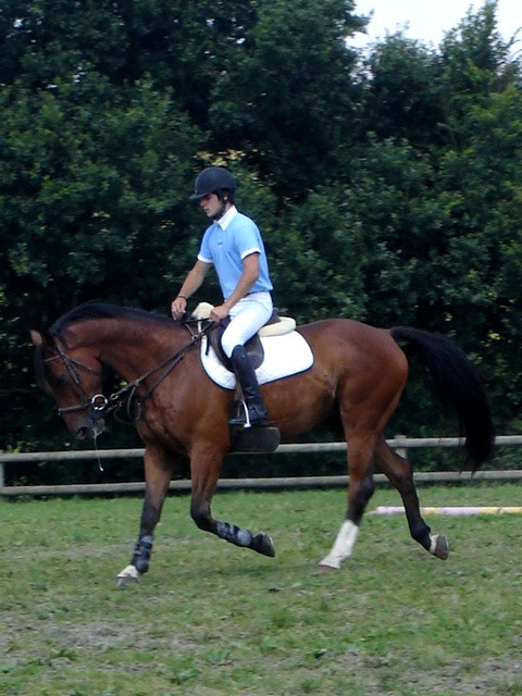 Photo de profil de gwenole