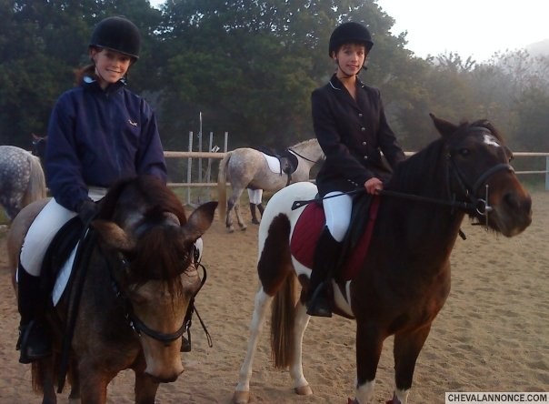 Photo de profil de poneyx29