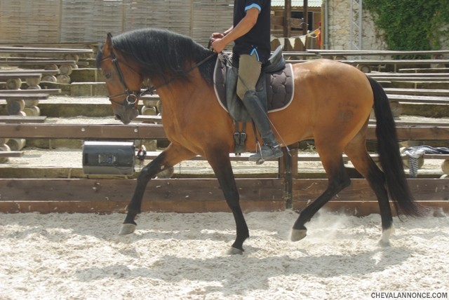 Photo de profil de motard10