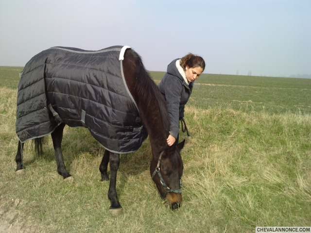 Photo de profil de maigue