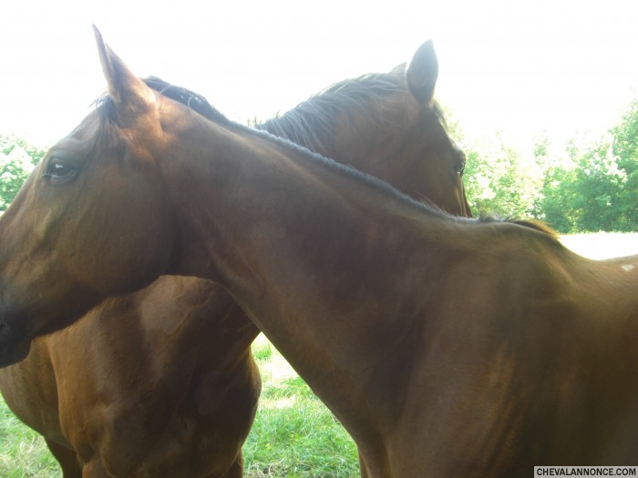 Photo de profil de loudu75