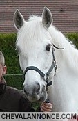 Photo de profil de camillou27