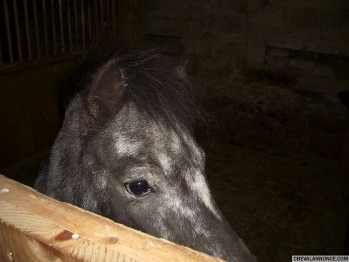 Photo de profil de titigresse