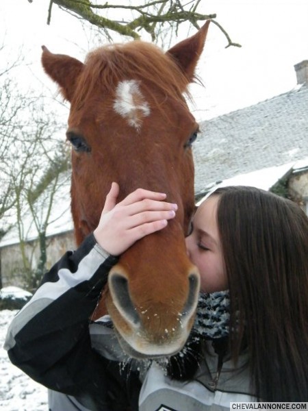 Photo de profil de dazzlingstorm