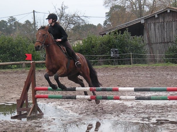 Photo de profil de hirondelle33