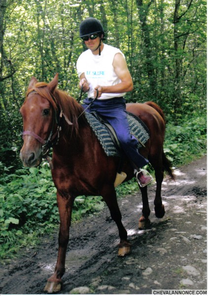 Photo de profil de cavallier