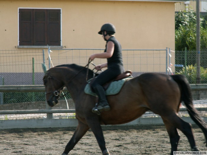 Photo de profil de kermesse