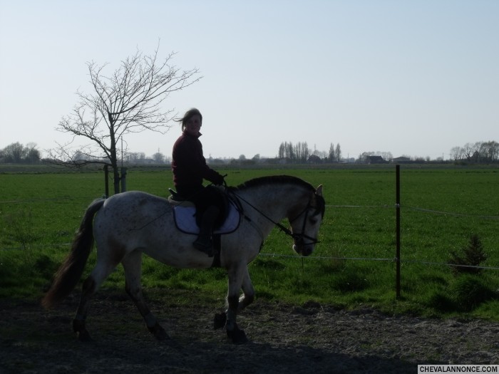 Photo de profil de cheyenne1103