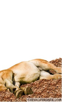 Photo de profil de lonper