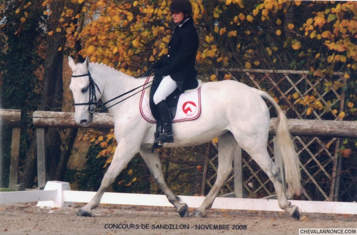 Photo de profil de caly45