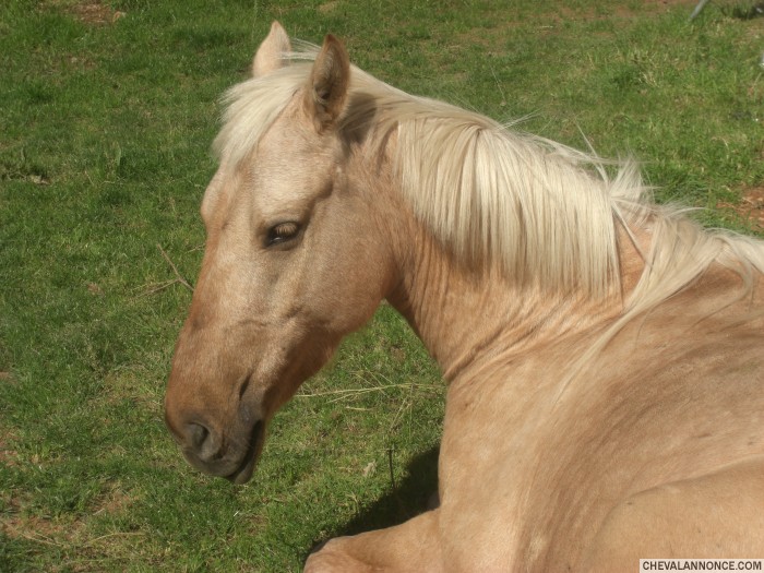 Photo de profil de babyliss83