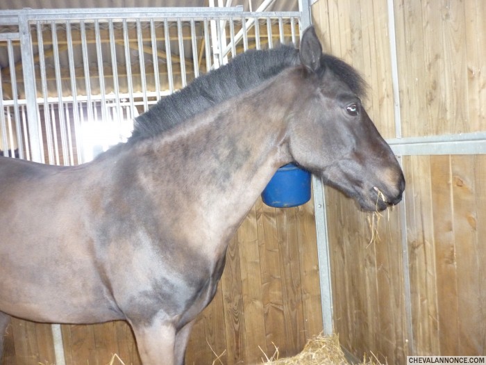 Photo de profil de elizaza57