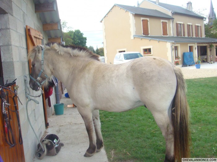 Photo de profil de ricky18