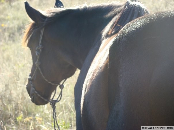 Photo de profil de ambre1305