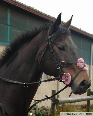 Photo de profil de joydamour