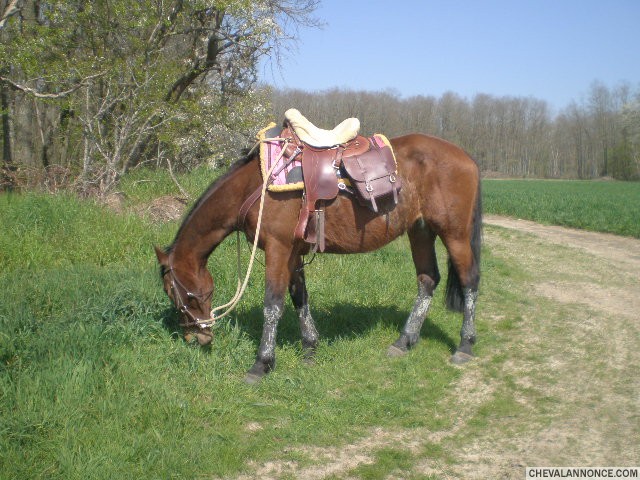Photo de profil de juliesme28