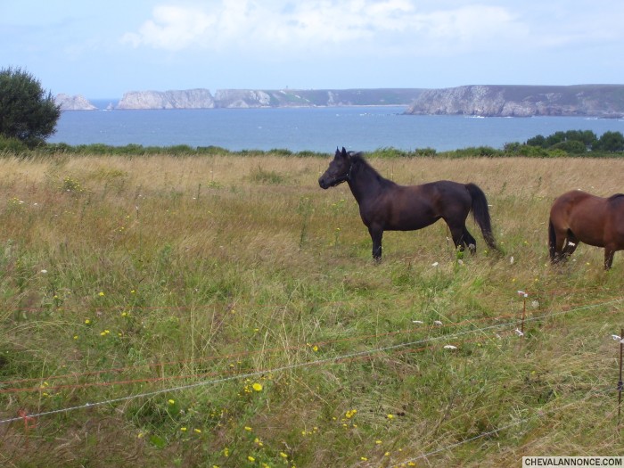 Photo de profil de jilgoudene