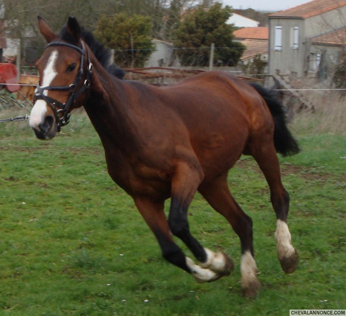 Photo de profil de claims27