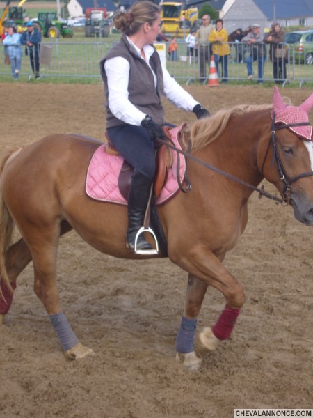 Photo de profil de servane22