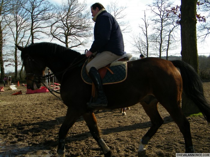 Photo de profil de abbou