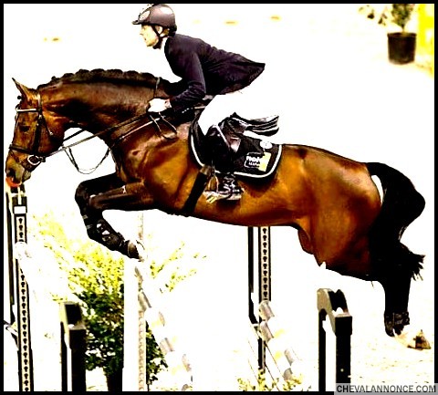 Photo de profil de samb