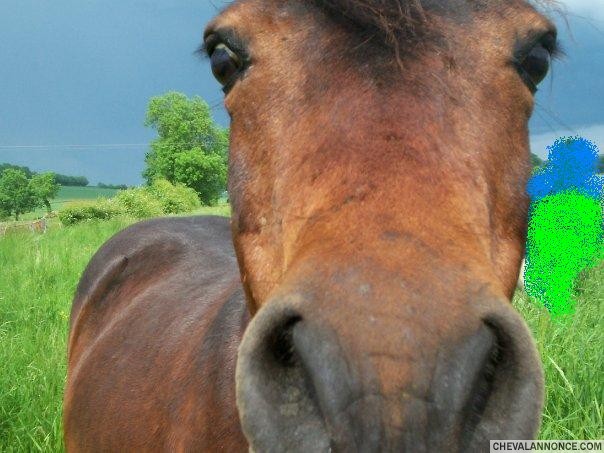 Photo de profil de emouchine51