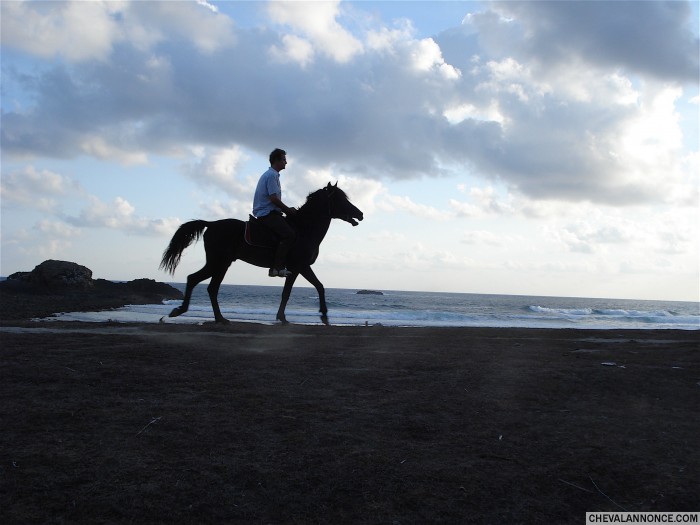 Photo de profil de pebkuta
