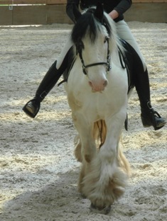 Photo de profil de irishgypsy