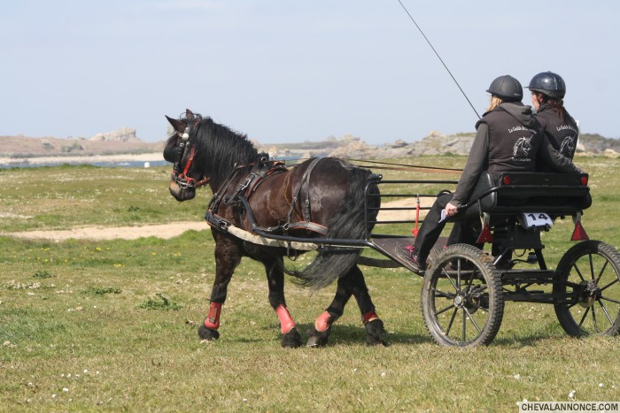 Photo de profil de mayl