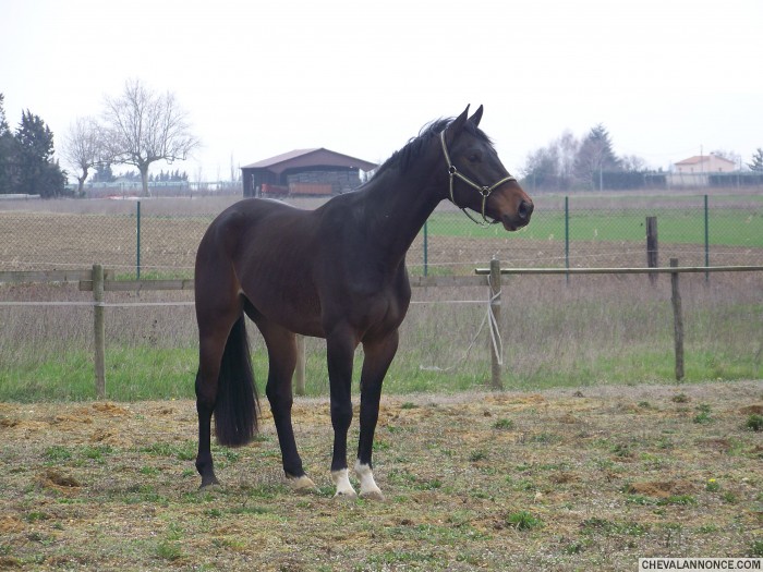 Photo de profil de chouchounette