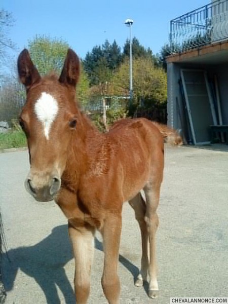 Photo de profil de riegel