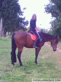 Photo de profil de gaelleondie