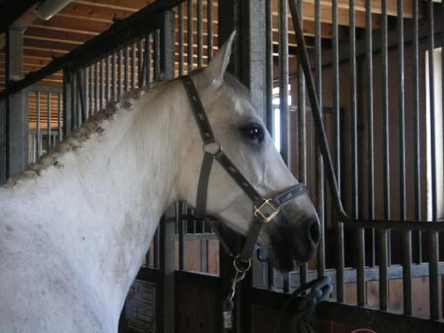 Photo de profil de jess717