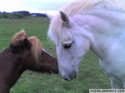 Photo de profil de stellavaillant