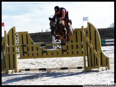 Photo de profil de paulineetmozart