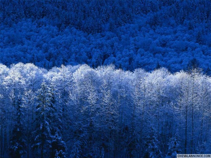 Photo de profil de camillebuhler