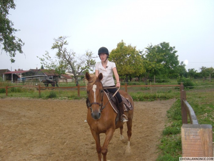 Photo de profil de sadja