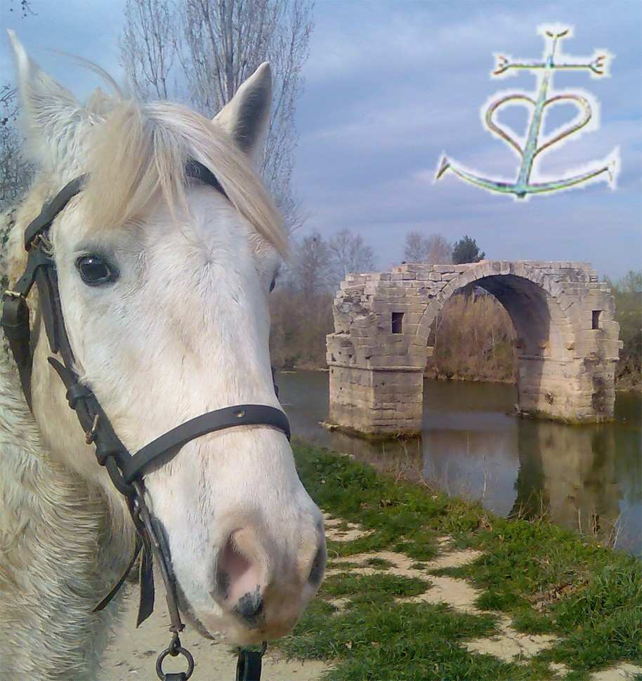 Photo de profil de jpegase