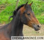 Photo de profil de hopeofdreams