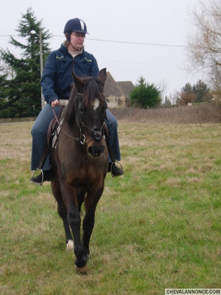 Photo de profil de walie86