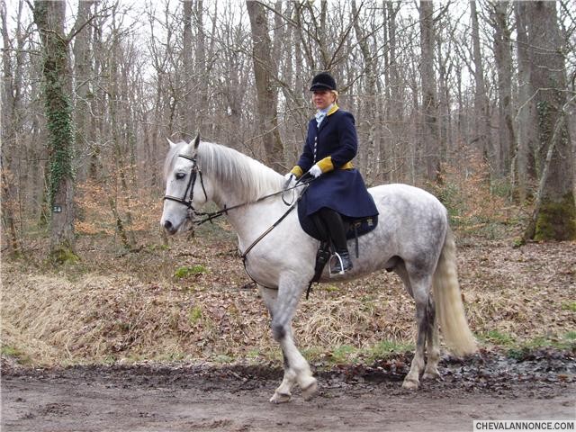 Photo de profil de srjj