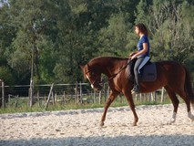 Photo de profil de julieof74